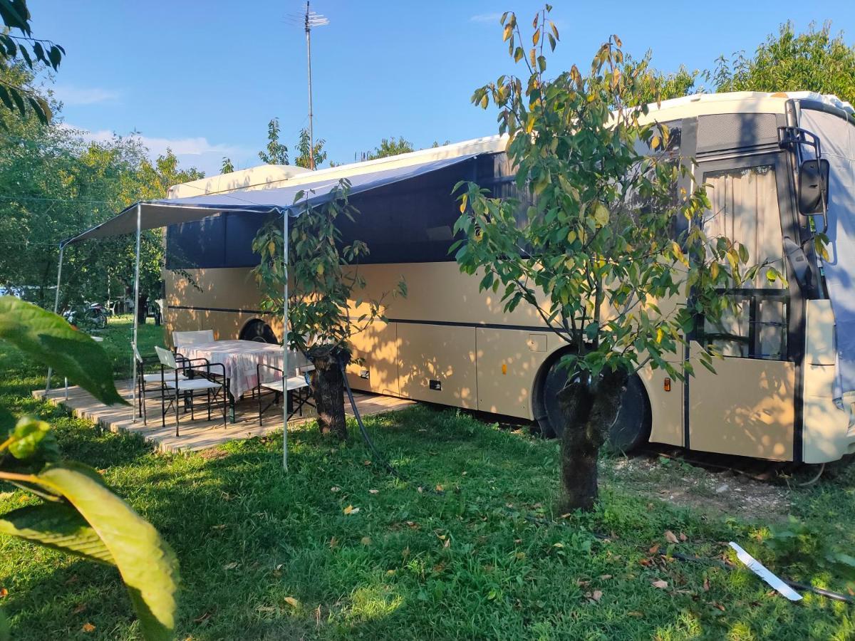 Hotel Terrebiobus Visnadello Exterior foto